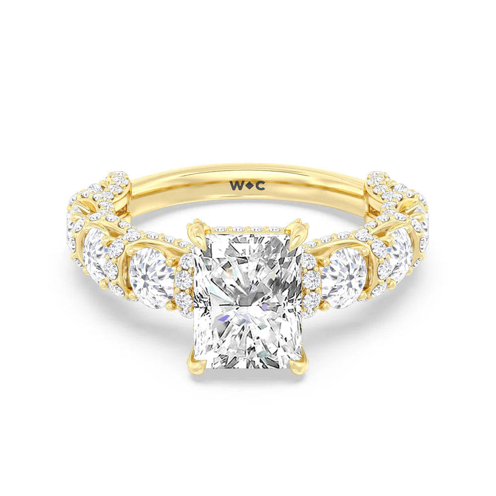 The Fulton Ring