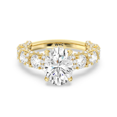 The Fulton Ring