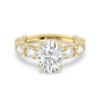 The Fulton Ring