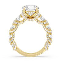 The Fulton Ring
