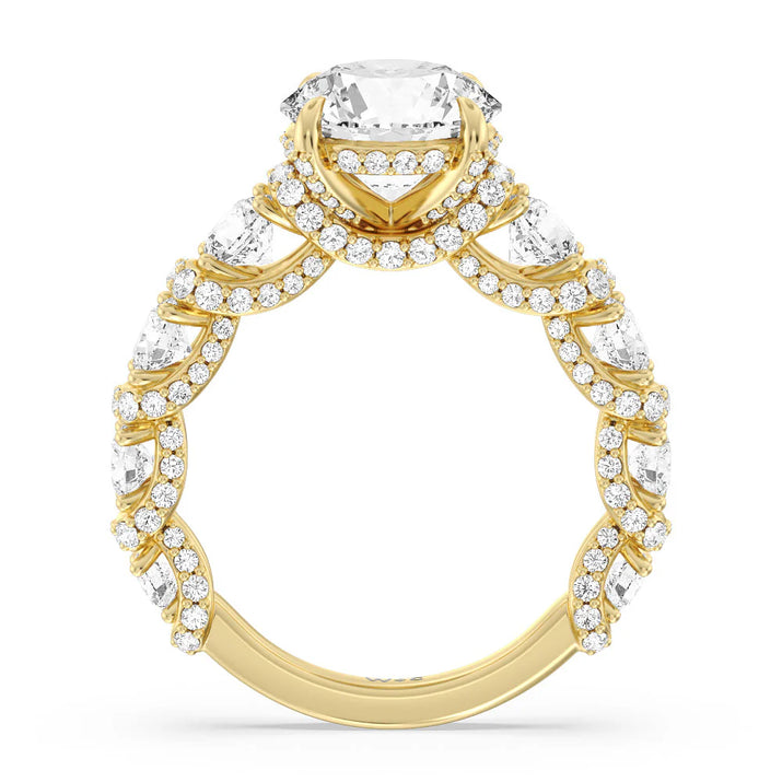 The Fulton Ring
