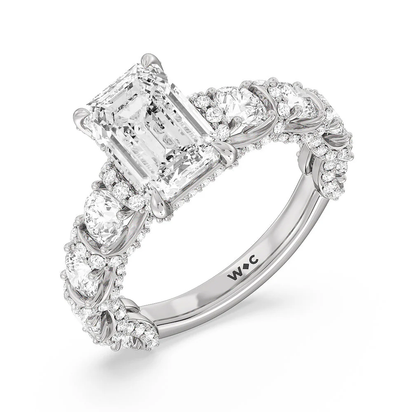 The Fulton Ring
