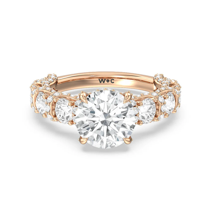 The Fulton Ring
