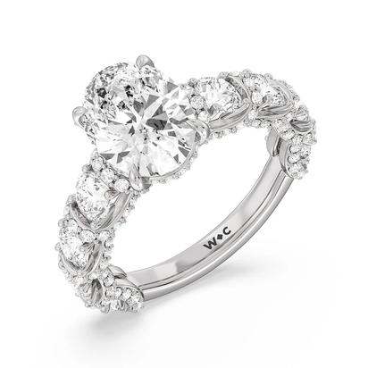 The Fulton Ring
