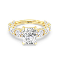 The Fulton Ring