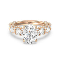 The Fulton Ring