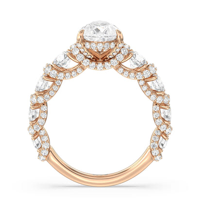 The Fulton Ring