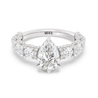 The Fulton Ring