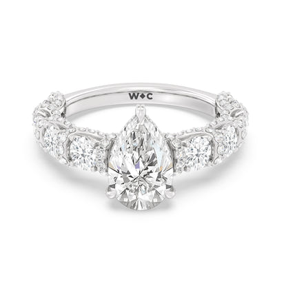 The Fulton Ring