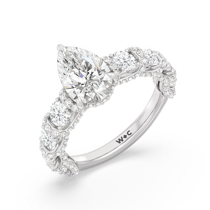 The Fulton Ring