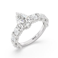 The Fulton Ring