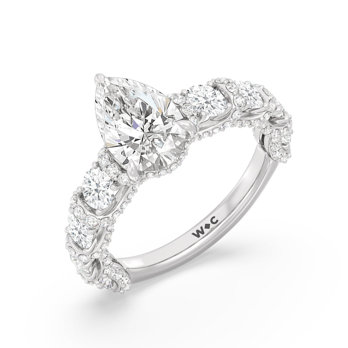 The Fulton Ring