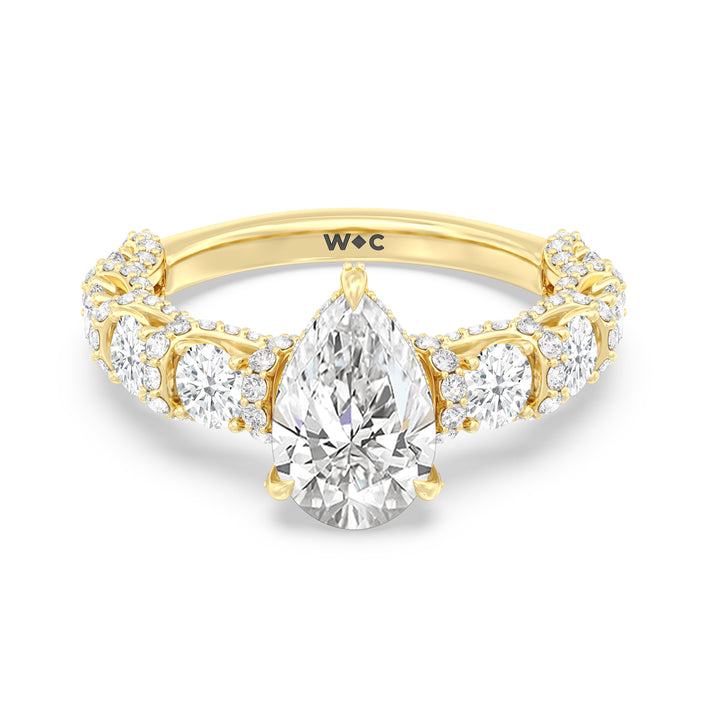 The Fulton Ring