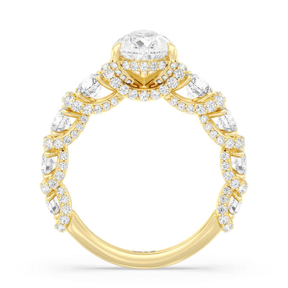 The Fulton Ring