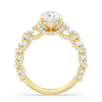 The Fulton Ring
