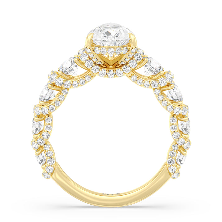 The Fulton Ring