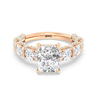 The Fulton Ring