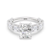 The Fulton Ring