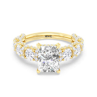 The Fulton Ring