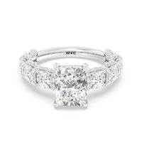 The Fulton Ring
