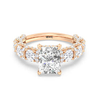The Fulton Ring