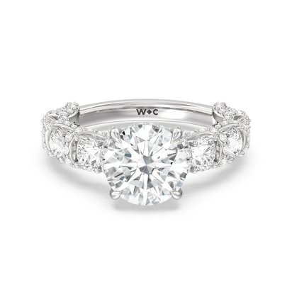 The Fulton Ring