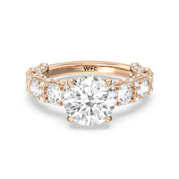 The Fulton Ring