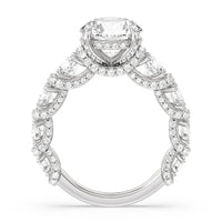 The Fulton Ring